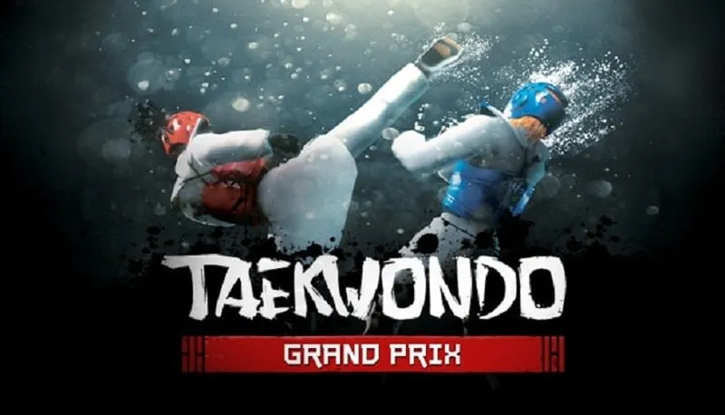 alt text: Ảnh minh họa game Taekwondo Grand Prix