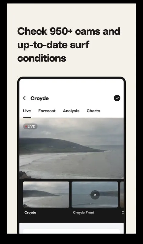 Dự báo sóng chi tiết trên ứng dụng Surfline MOD APK