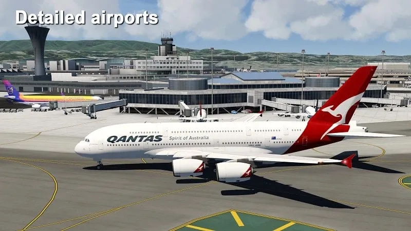 Hình ảnh máy bay trong Aerofly FS 2020