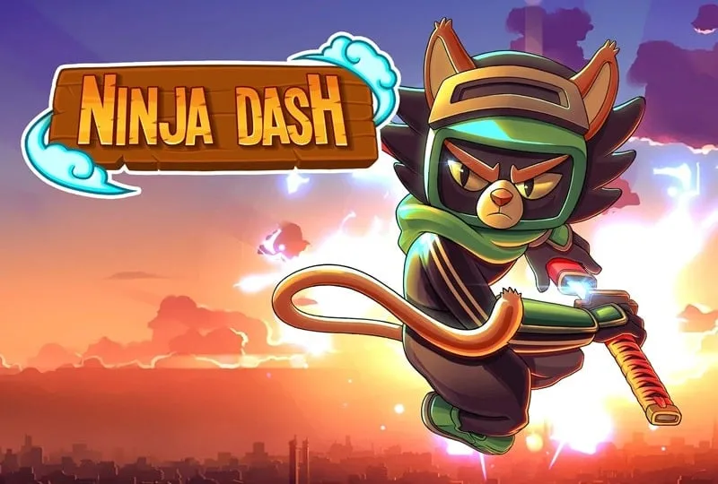 Ninja Dash Run MOD APK