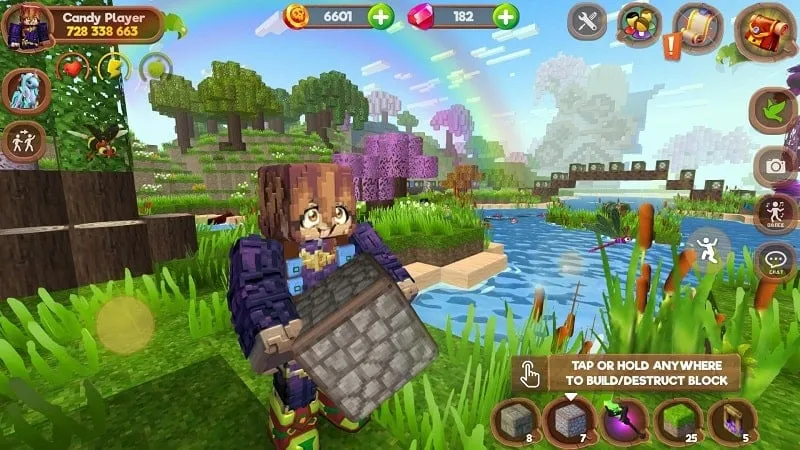 Pony World Craft MOD APK
