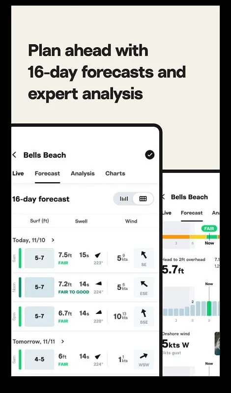 Ứng dụng Surfline MOD APK trên thiết bị Android