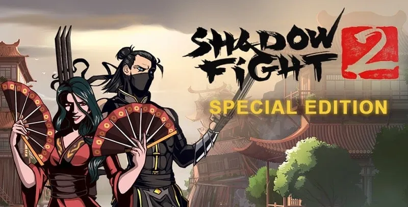 alt text: Ảnh chụp màn hình game Shadow Fight 2 Special Edition với nhân vật chính trong tư thế chiến đấu.